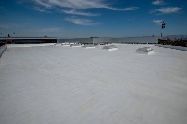 Best Slate Roofing  in Blakely, GA