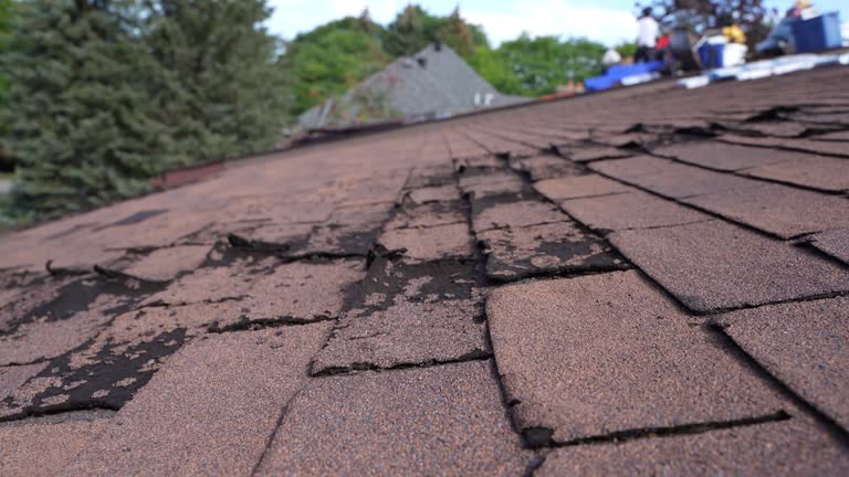 Best Roof Leak Repair  in Blakely, GA
